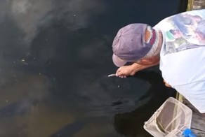 Мужчина поймал рыбу голыми руками