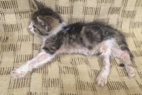 Еще пару дней и она бы умерла