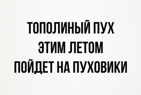 Очередная подборка картинок с подписями