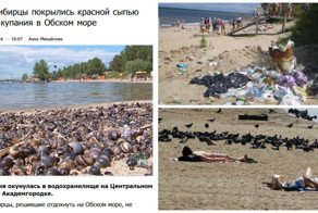 Купаться запрещено! Только в страшном сне можно оказаться на таких пляжах России