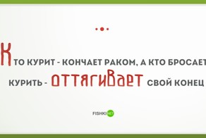 Народная мудрость. Часть вторая и заключительная