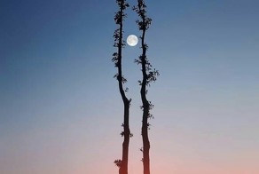 Комментарии к фото от девочек и мальчиков