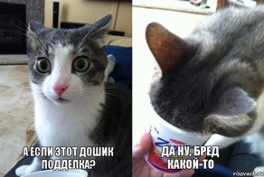 ШОК! Подделка доширака!