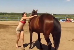 Лошадь пожалела наездницу и помогла ей на себя забраться