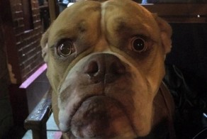 Прикольные картинки с надписями