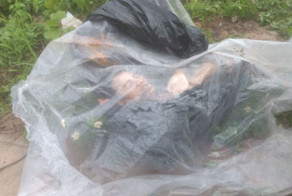 Расчлененный труп инвалида уместили в чемодан