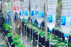 По-настоящему крутые идеи для дачи, которые можно взять на вооружение