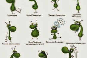 Подборка прикольных картинок из паутины