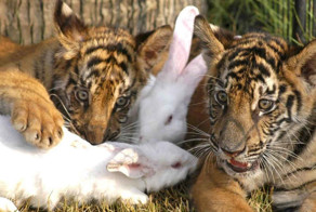 Мы такие разные, но мы вместе