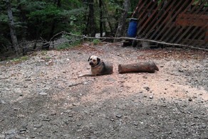 Фотографии, которые взорвут вам мозг!