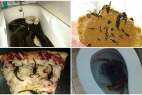 Сюрпризы, которым вы точно не обрадуетесь