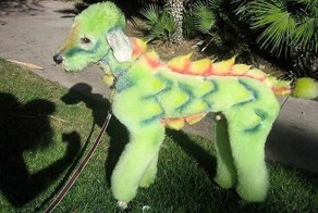 15 невообразимо дурацких стрижек животных