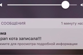 Телефон в руках родителей превращается в генератор шуток