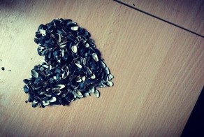 На самом деле у них тонкая душевная организация! Пацанская романтика воочию