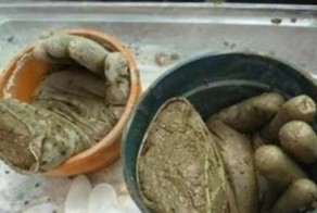 Вот зачем мужчина стал заполнять резиновые перчатки раствором