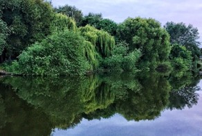 Британский пожарный случайно сфотографировал бога викингов