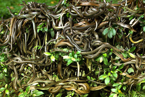 Вам туда не надо!