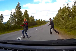 Авария дня. Машина сбила пешехода, вышедшего из кустов после пикника