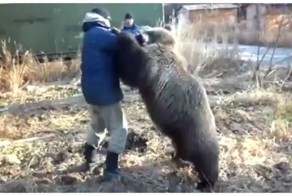 Опасные игры с Михаилом Потапычем