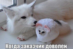 Прикольные картинки