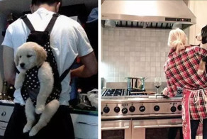 17 картин того, как ты представляешь свою взрослую жизнь