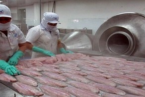 Никогда не ешьте эту рыбу: она ОЧЕНЬ опасна!