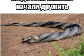 Смешные комменты из соцсетей