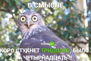 Этот беспощадный кризис среднего возраста