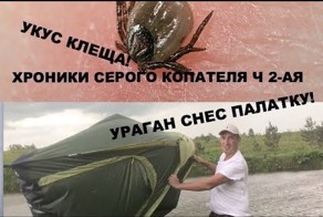 Укус клеща и ураган в деревне!