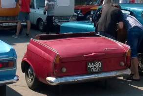 Автовсячина