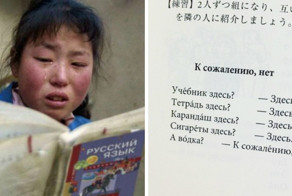 Сложности русского языка в иностранных учебниках