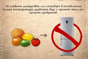 Полезные советы от домоседа