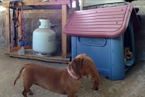 Если где-то нагрешил, то на тебе навечно проклятие неудачной панорамы!