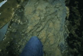 16 жутких фотографий и гиф-анимаций, которые заставят сердце биться чаще