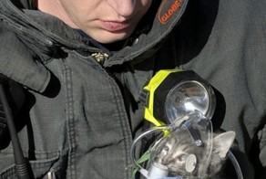 Добрые поступки людей