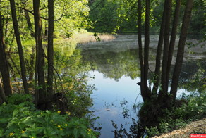 А у нас на Чокопае