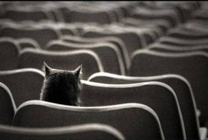 Человек и кот