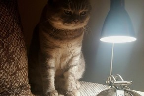 Пришел проститься