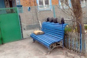 Инженерная мысль
