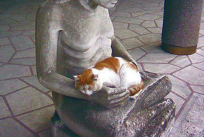 Египет. Калейдоскоп фотографий