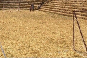 На Ставрополье построили соломенную «Зенит-Арену» без воровства и распила