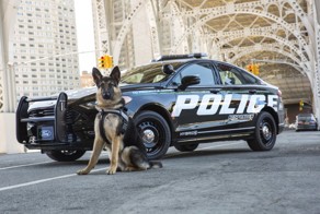 Гибридный Ford Police Responder. Погоня в эко-режиме