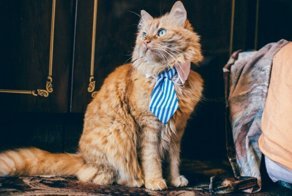 Лучшие товары с AliExpress на эту минуту