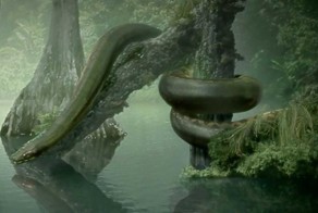 15 самых гигантских животных, когда-либо населявших нашу планету