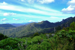 Great Barrier Island. Новая Зеландия