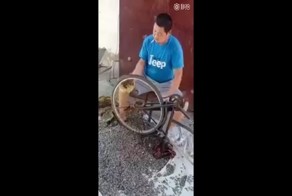 Интересный китайский способ чистки подсолнуха