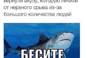 Очередная порция картинок с подписями