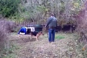 Собаке, просидевшей всю жизнь не цепи, подарили свободу