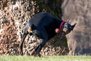 Хороший фотограф - на вес золота!