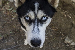 "Не бойтесь, она не кусается!"